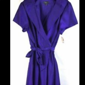 Beautiful Purple Fit and Flare Dress
